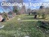 Elad sorhzi laks a Balatonnl
