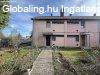 Elad sorhzi laks a Balatonnl