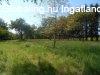 Legyen panormja, Olaszfn e dombos tjra! - Olaszfa
