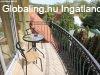 Kivl befektetsi lehetsg a Hvzi-t kzelben