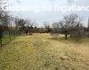 Elad 1200 nm-es jszer llapot Csaldi hz Pcs Szabolcs 