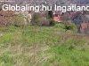 Elad 1284 nm-es Csaldi hz Pcs Mecsekoldal/rg 