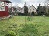 Elad 144 nm-es Feljtott Csaldi hz Pcs Kertvros 