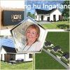 Elad 92 nm-es j pts Csaldi hz Szentgotthrd