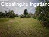 Elad 170m2-es Csaldi hz, rbottyn