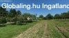 Elad hz, Zalaegerszeg