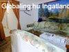 Elad hzrsz Kistarcsa, 	Zsfialiget csendes mellkutcjba