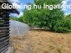 Elad csaldi hz Szkesfehrvr, 	Segesvri utca