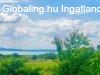 Reggeli kv-esti borozgats-csrgedez patak partjn- Balat