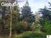 Piliscsaba, 88 m2, 64000000 HUF, 2 szoba, 2 flszoba [4425_4