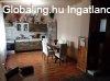 Elad 132 nm-es Csaldi hz Jszapti