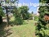 Kis hz-nagy lehetsg | - Szeged