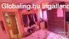 Takaros hzrsz Petfitelepen - Szeged
