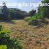Monor kzpontban feljtand, bontand hz 1005 m2 tel