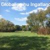 Csods ingatlan 60 %-os ron befektetknek-Dabas