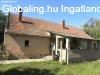 Elad 100 nm-es Csaldi hz Mttelke Tncsics utca 24 