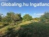 HETESI 4 SZOBS CSALDI HZ