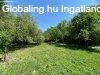 Vidki nyugalom Szombathelytl 10 km-re, Kisunyomban