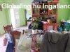 2 csaldi hz, gazdlkodsra alkalmas nagy telekkel elad Ab
