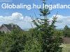 Elad kt szintes Csaldi hz Balatonszrszn
