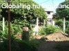 Elad hzrsz Budapest, XX. kerlet, 	Alakthat, 243 m2 saj