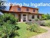 Elad 210 nm-es jszer llapot Csaldi hz Polgrdi