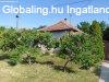 Elad  65 nm-es csaldi hz!