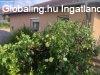 Elad 86 nm-es jszer llapot Ikerhz Szigetszentmikls