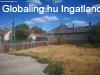 Elad  Dabas, 	Alig utca