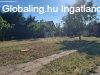 Elad csaldi hz Dunakeszi, 	Dunakeszi