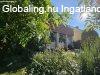 Elad 150 nm-es Csaldi hz Sikls