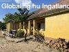Bugyin feljtand paraszthz elad