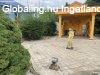 SRB, Csantavren Villa  | SRB, Csantavren Villa, orvosi mag