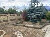 SRB, Csantavren Villa  | SRB, Csantavren Villa, orvosi mag