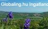 Borszok , Befektetk , Ingatlan Fejlesztk - Vszoly