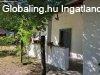 Romantikus kk vlyoghz elad Tiszasznn, a Tisza-t kzel