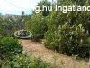 Elad 60 nm-es Csaldi hz Csopak