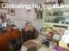 Elad csaldi hz Gasztony, 	Kikerics utca