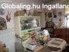 Elad csaldi hz Gasztony, 	Kikerics utca