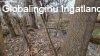 Elad csaldi hz Vmosmikola, 	Vmosmikola