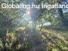 Elad csaldi hz Zalatrnok, 	Zalatrnok csendes utcja