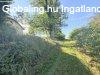 Elad csaldi hz Zalatrnok, 	Zalatrnok csendes utcja
