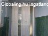 Elad 115 nm-es jszer llapot Csaldi hz Flpszlls Po
