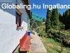 Elad csaldi hz Nagykta, 	Kzponti helyen