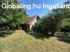 Budakalszon feljtand csaldi hz elad