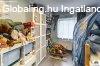 Pcel, 141 m2, 89000000 HUF, 5 szoba [4138_903]
