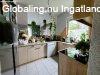 Valdi csaldi paradicsom a 