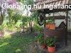 Elad 80 nm-es Kzepes llapot Csaldi hz Tiszacsege