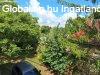 Elad csaldi hz Bicske, 	KERTVROS