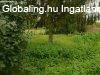 Bodonyban 680m2-es telken, 95m2-es tlagos llapot 3 szobs